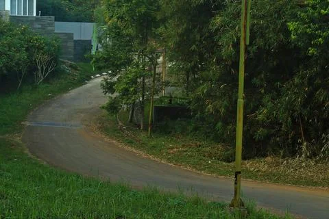 The road Stock Photos