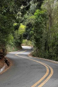 Road Fotos de archivo