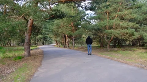 A road in a pine forest, a beautiful path for running and cycling Stock Footage 185510307
