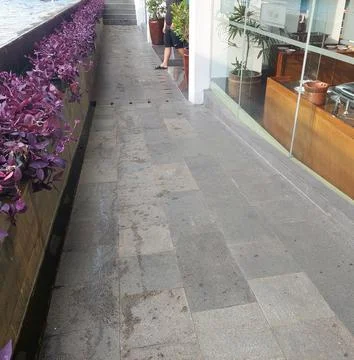 Road with plants on the side Stock Photos