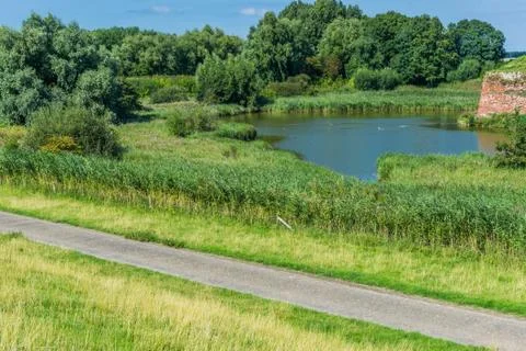 Road with pond view Stock Photos
