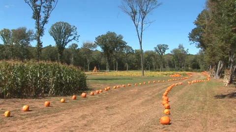 Road to Pumpkin Patch Video stock 38766277