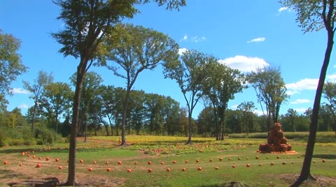 Road to Pumpkin Patch Stock Footage 40684524