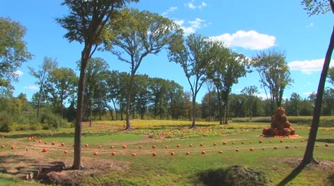 Road to Pumpkin Patch Stock Footage 40684826