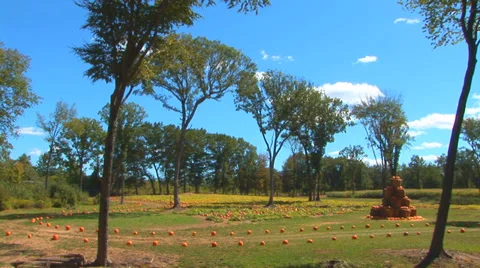 Road to Pumpkin Patch Loop Video stock 38764380