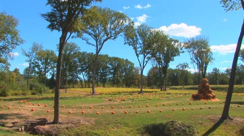 Road to Pumpkin Patch Loop Video stock 38766418