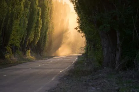 The road is quiet. Smoke. Stock Photos