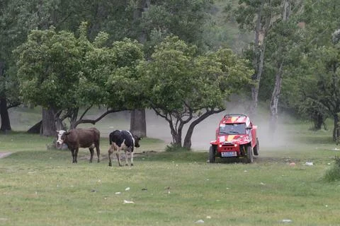 Off-Road Racing Stock Photos