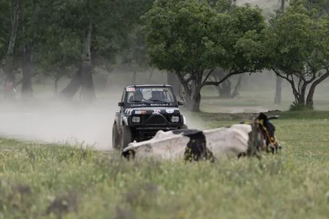 Off-Road Racing Stock Photos