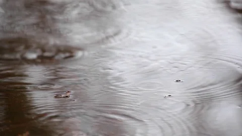Road rain drop footage Video stock 88629759