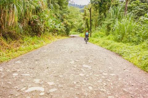 Road in rain forest in El Fosforo in Costa Rica. Stock Photos