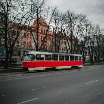 Road red tram tree Stock Photos