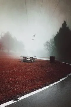 The road with red trees Stock Photos