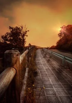 The road with red trees Stock Photos