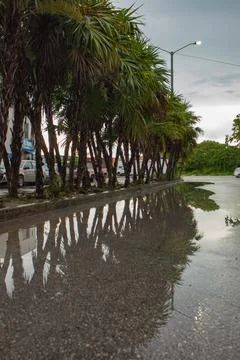 Road with reflection in water Stock Photos