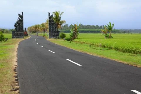 Road in the rice fields Stock Photos