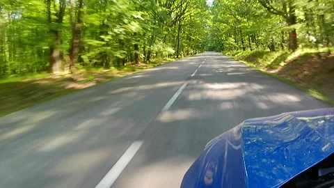 Road ride on local road through forest in Krupina plain, flashing sun 動画素材 334510058