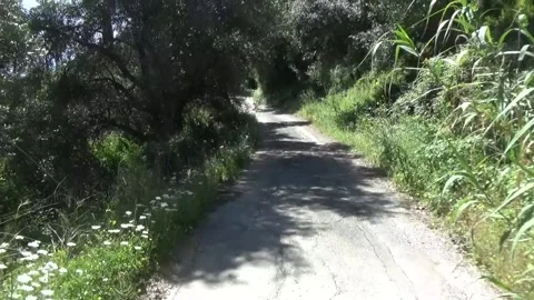 The road rises into the mountains Vídeos de archivo 310039974