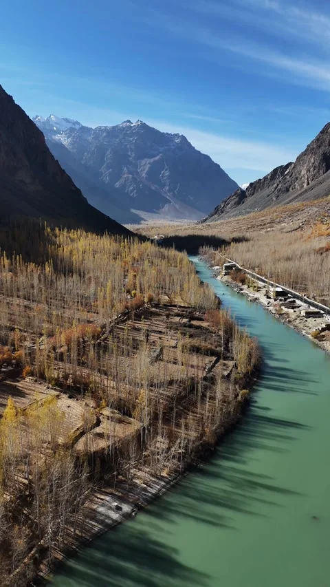 Road, river, and yellow-leaf trees from above in vertical drone shot. Stock Footage 310662034