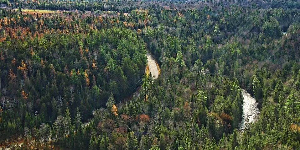 Road by a river Stock Photos