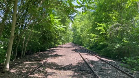 Road Road 001 Stock Footage 308769709