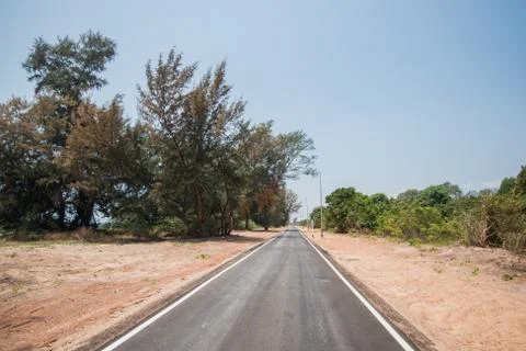 Road, road in forest Stock Photos