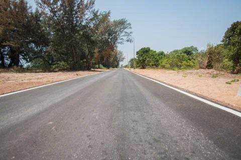 Road, road in forest Stock Photos