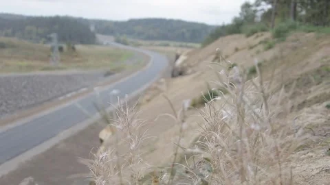 Road, rock slopes, trees along the road Stock Footage 275333526