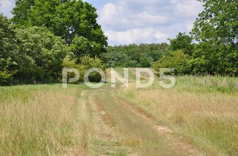 Road in Rolling Fields Stock Photos