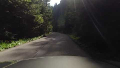Road in Romania in evergreen tree canopy 4K 60fps video 動画素材 252058562