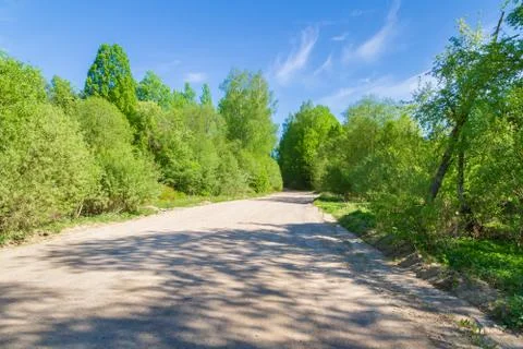 Road from rubble along the forest in spring on a Sunny day Stock Photos