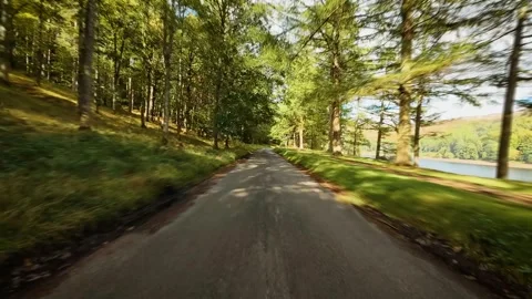 Road running through bright forest beside calm lake under sunlight POV. Path 库存影片 333777205