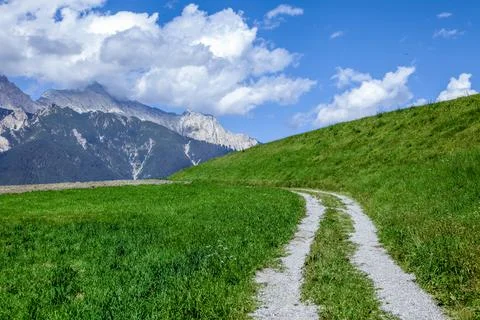 A road runs through a grassy field with apps mountains in the background Foto stock