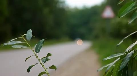 Road in Russia Stockbeeldmateriaal 10833653