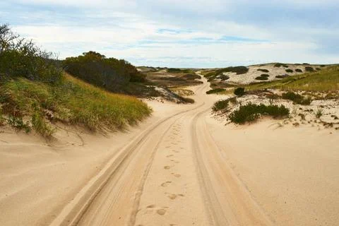 Road in sand dunes at Cape Cod Road in sand dunes at Cape Cod, Massachuset... Stock Photos