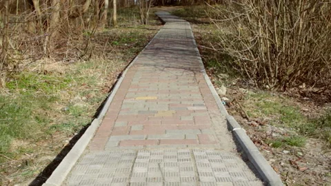 Road to the sea 库存影片 153277529