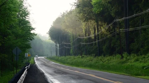 Road setting sun after rain selective focus May 25 2024 Stock Footage 276388506