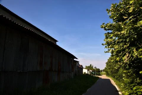Road in the shade between a row of trees and a country house in summer at sun Stock Photos