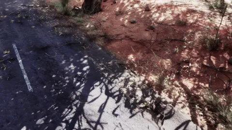 Road with shadows and natural elements in a dry area Stock Footage 343573765