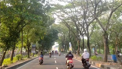 The Road with Shady Tree's Video stock 243687475