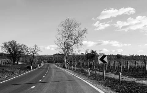 Road with a sharp corner ahead Stock Photos