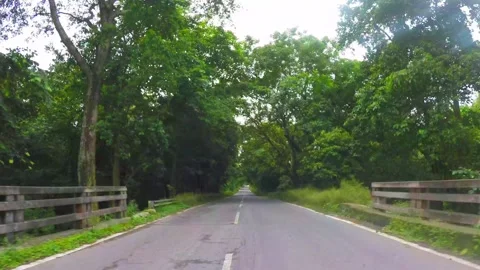 Road shot through the forest in india Stock Footage 220414347