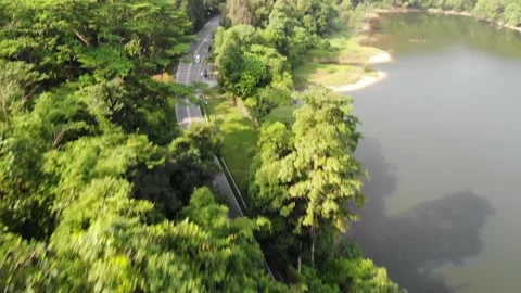 Road side the lake Video stock 153641685