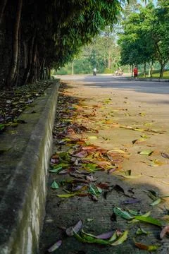 Road side Stock Photos
