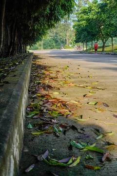 Road side Stock Photos