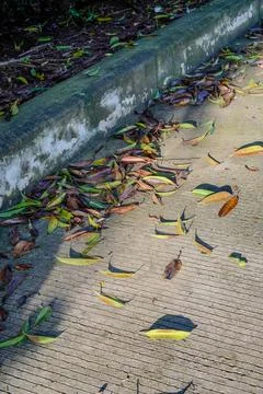 Road side Stock Photos