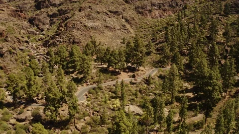 Road side of the valley Video stock 106283797