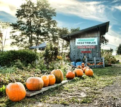Road-side vegetable stand Stock Photos