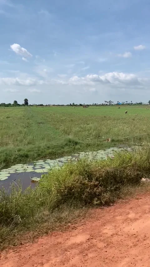 Road to Siem Reap Stock-Footage 341171207