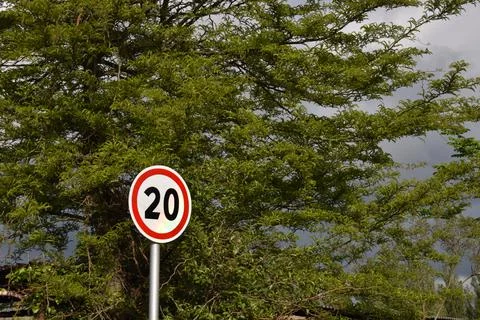 Road sign in the background of trees Stock Photos